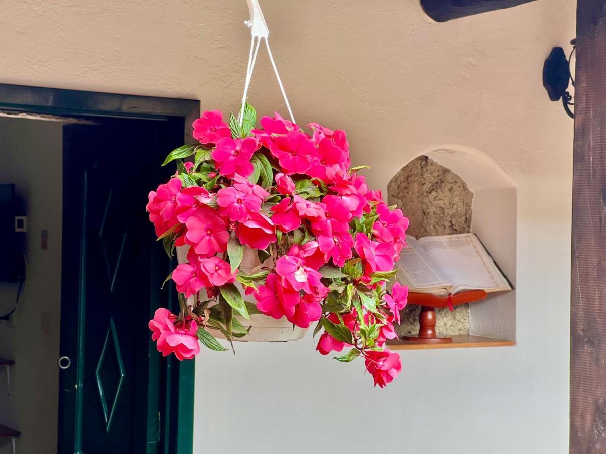 Hotel San Gabriel El Cocuy 外观 照片
