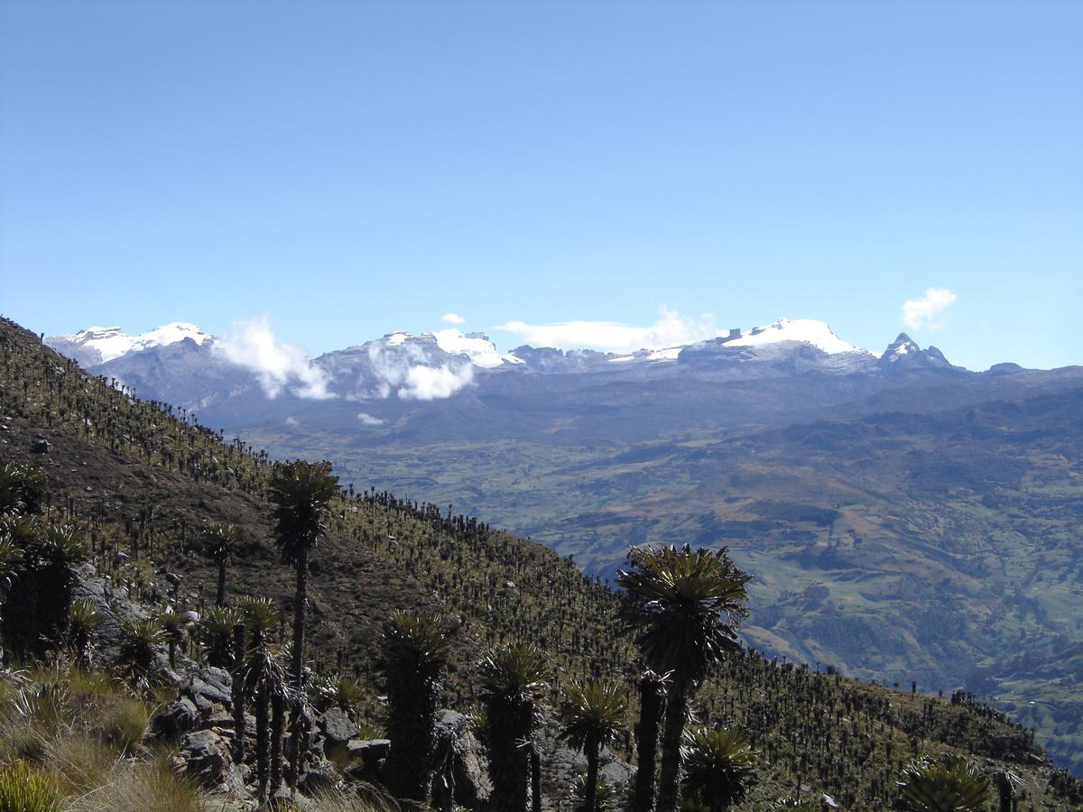 Hotel San Gabriel El Cocuy 外观 照片